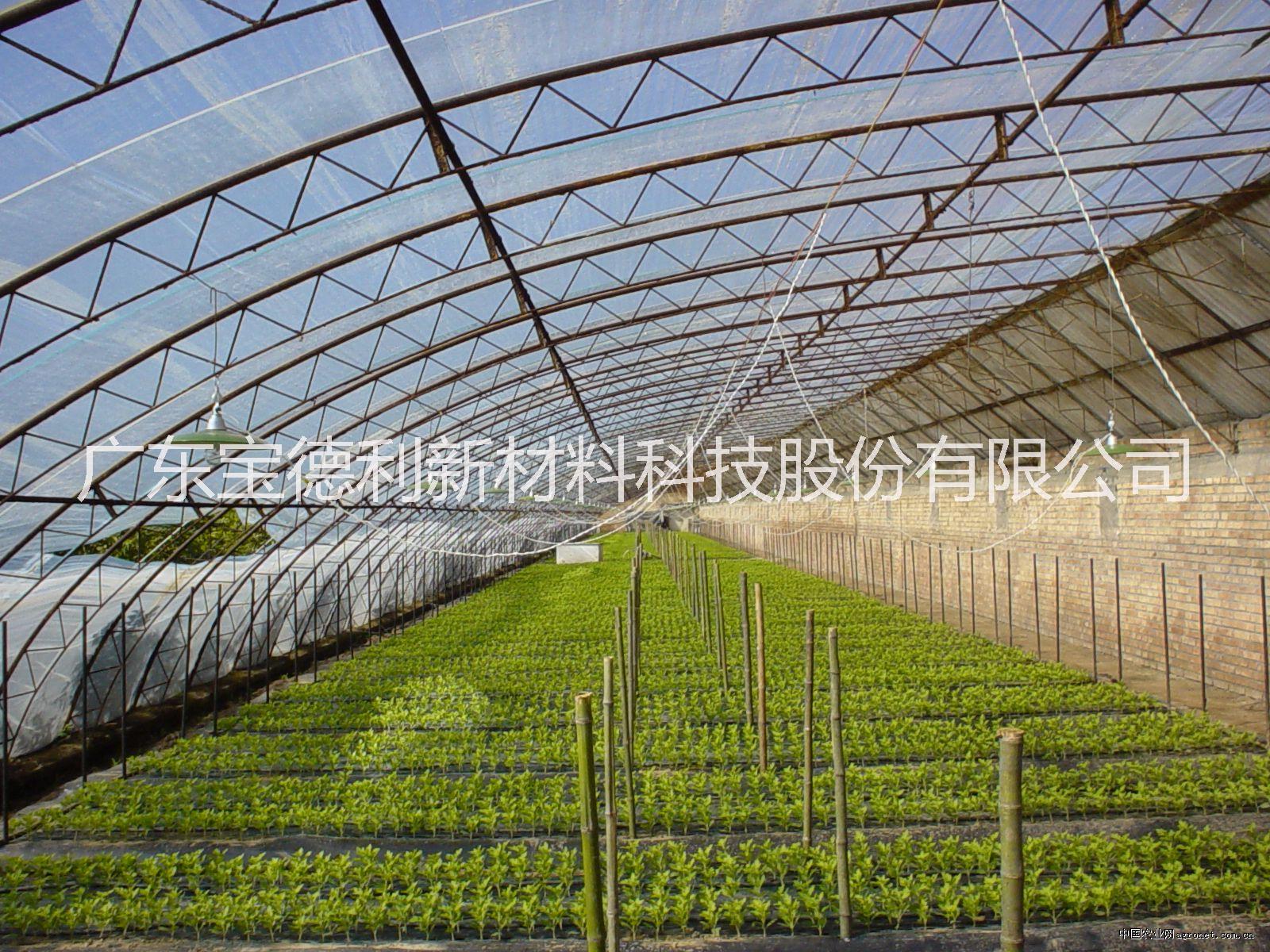 廣東寶德利全生物降解環(huán)保遮陽膜 大棚膜 保溫膜