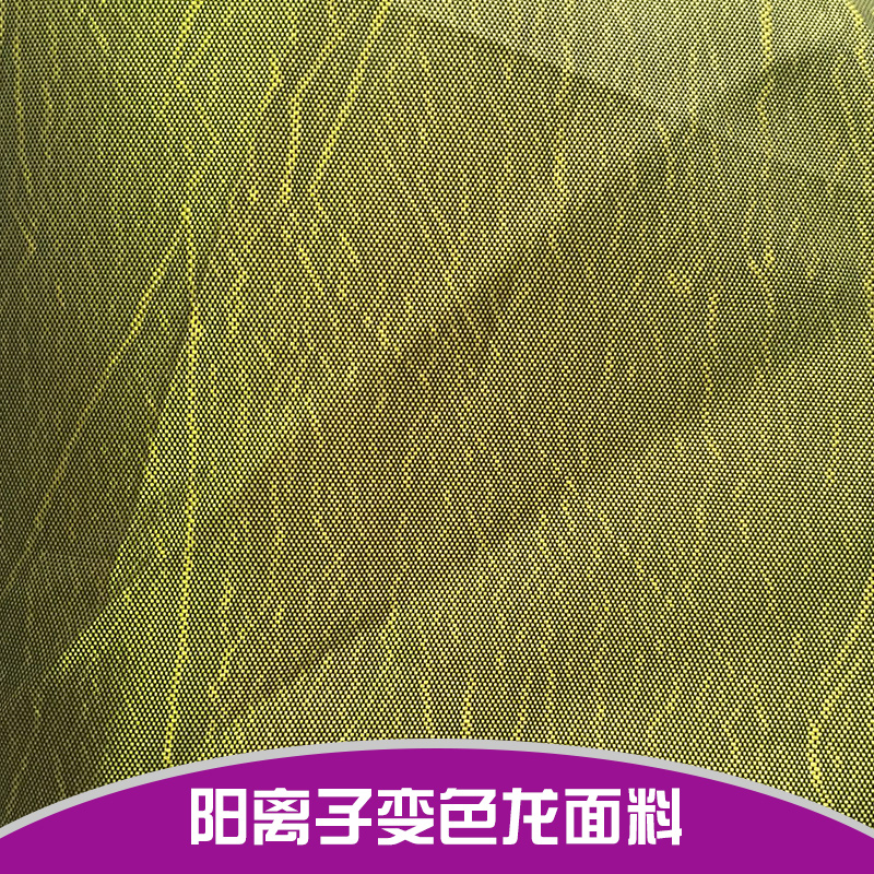 陽離子變色龍面料廠家直銷 陽離子變色龍面料 變色龍面料色丁 變色龍面料加厚 提花變色龍面料
