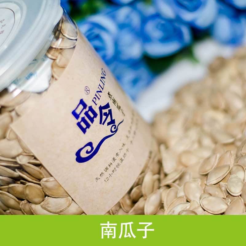 南瓜子廠家直銷 原味南瓜子 品令南瓜子 散裝南瓜子 鹽焗南瓜子 水煮南瓜子