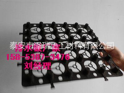 供應(yīng)寧德蓄排水板,塑料卷材排水板