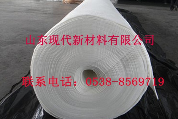 白色600g長絲土工布 山東現(xiàn)代長絲土工布 出廠價(jià)