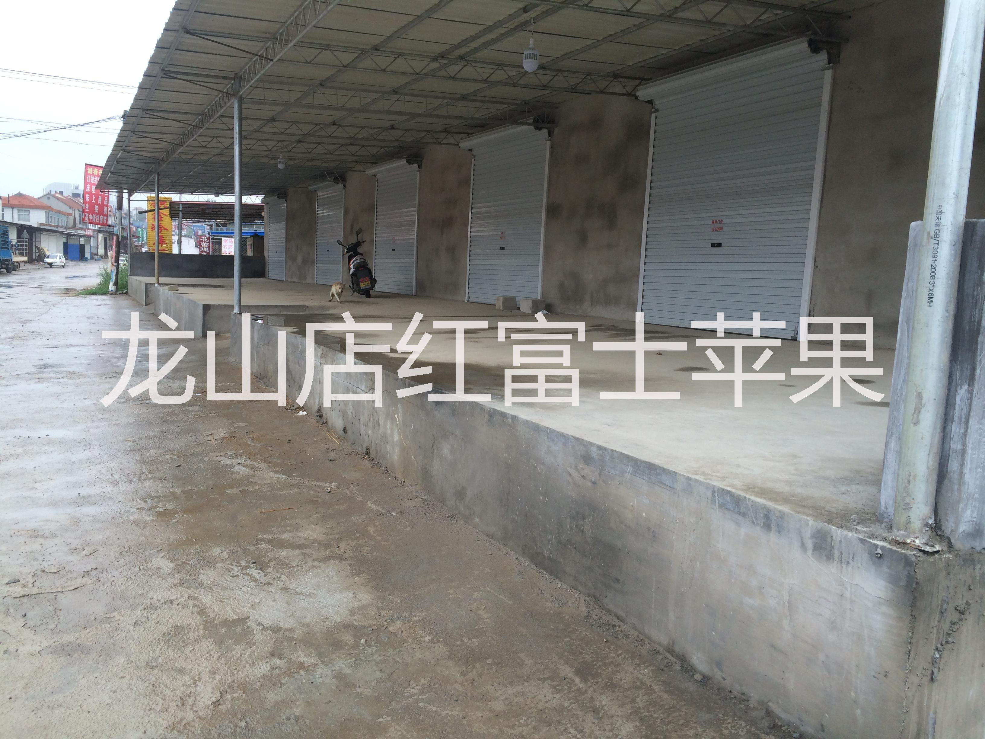 山東煙臺蓬萊市紅富士蘋果*場地