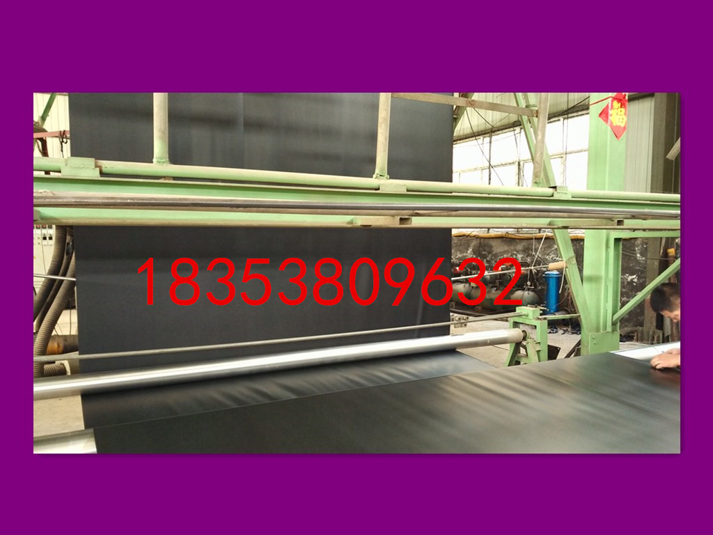 菏澤巨野縣南斯拉夫雪蓮藕太空1號種植專業(yè)合作社