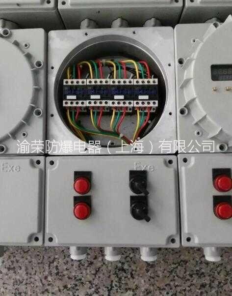 黃石市專業(yè)非標(biāo)鋼板防爆配電柜定制