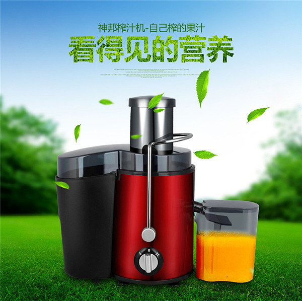 廠家直銷*供應(yīng)邁多功能全自動(dòng)家用料理機(jī)機(jī) 攪拌機(jī)