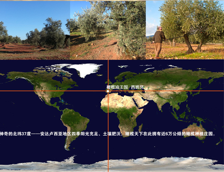 橄欖天下特級初榨橄欖油1LX2盒