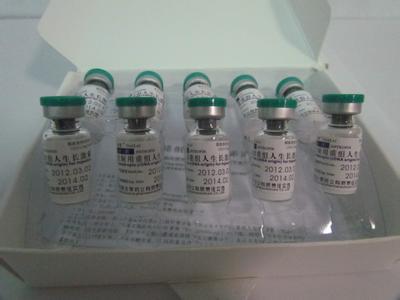 專業(yè)操作生長*國際快遞西班牙