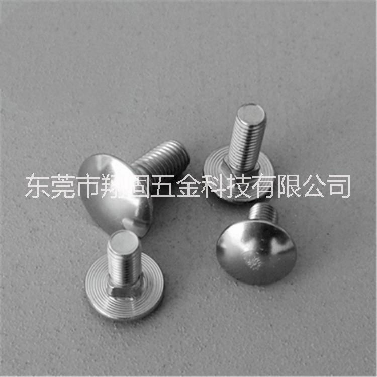 廠家直銷 304不銹鋼馬車螺栓 專業(yè)生產銷售304不銹鋼馬車螺栓 (可定做各種規(guī)格）