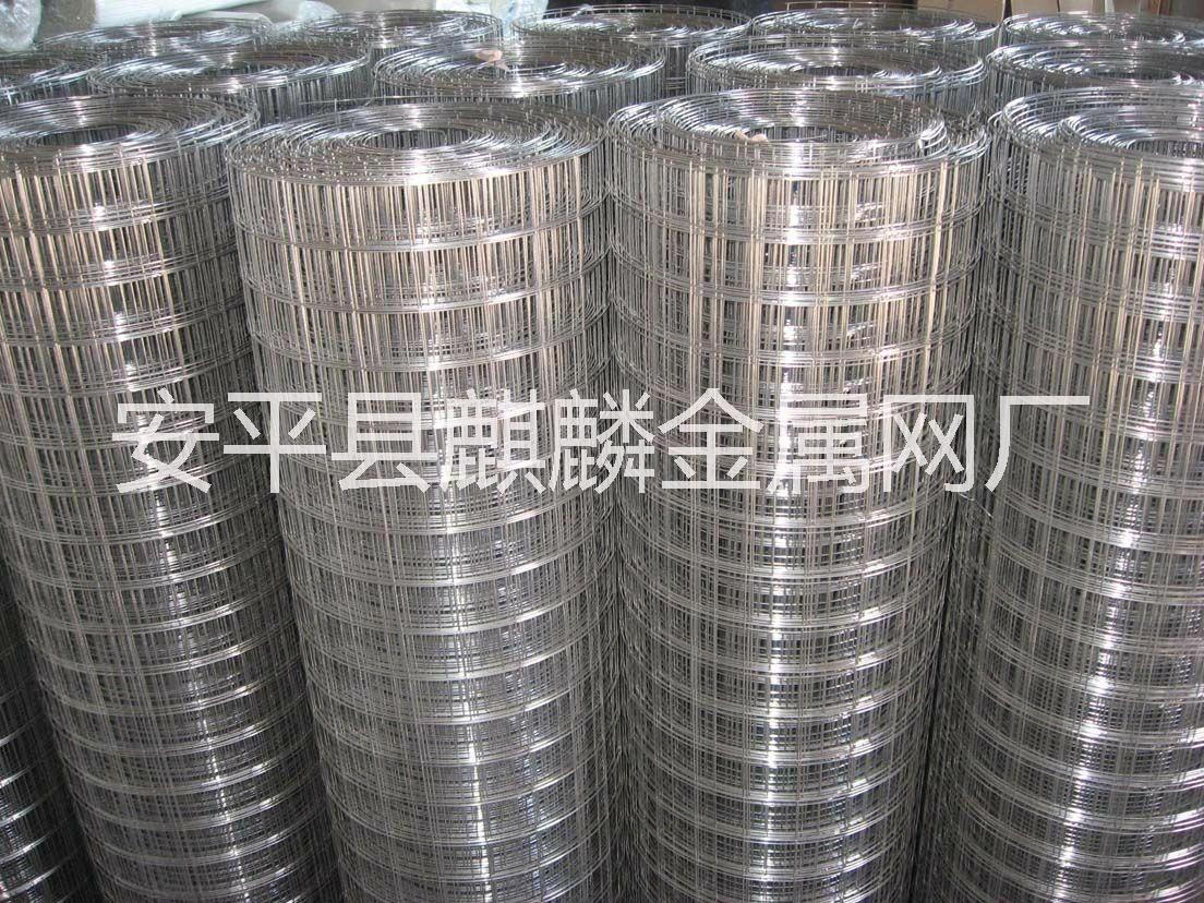 供應(yīng)養(yǎng)雞網(wǎng)/養(yǎng)雞圍欄網(wǎng)廠家供應(yīng)養(yǎng)殖網(wǎng)