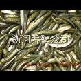 黑魚苗上市了