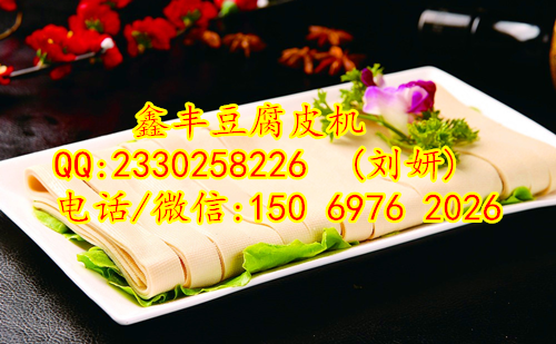 山東 全自動(dòng)豆腐皮機(jī)鑫豐多功能豆腐皮機(jī)廠家