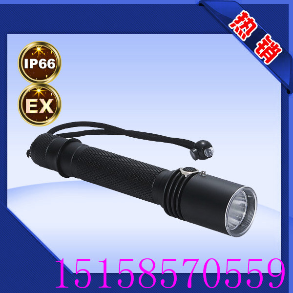 供應(yīng)多功能*電筒 廠家直銷 *齊全 規(guī)格齊全