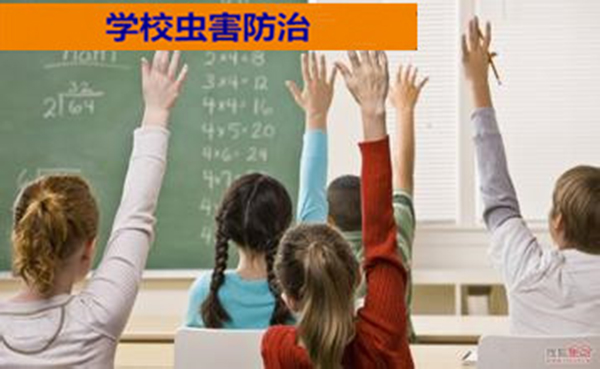東營(yíng)除蟑螂防治公司創(chuàng)之家