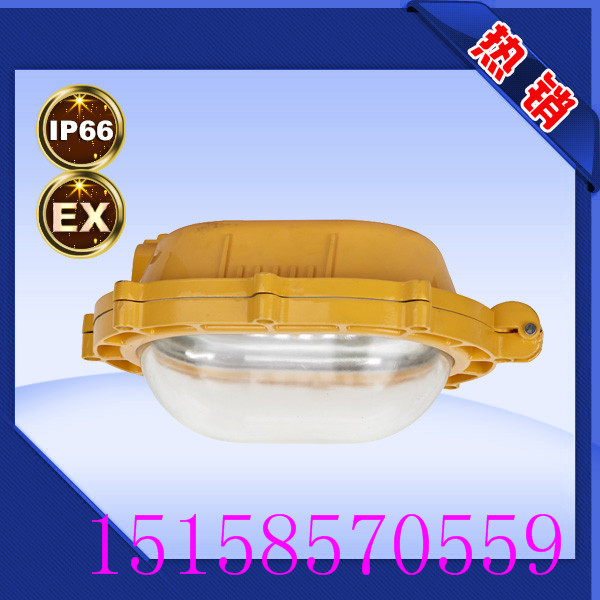 供應(yīng)BFC8110/HN防爆泛光燈 廠家直銷 *齊全 規(guī)格齊全