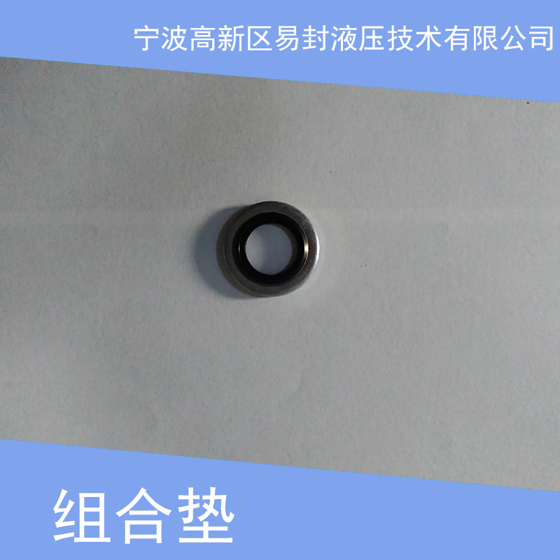 組合墊廠家直銷 氟膠組合墊 金屬墊片 組合墊密封圈 半包組合墊 非標(biāo)組合墊