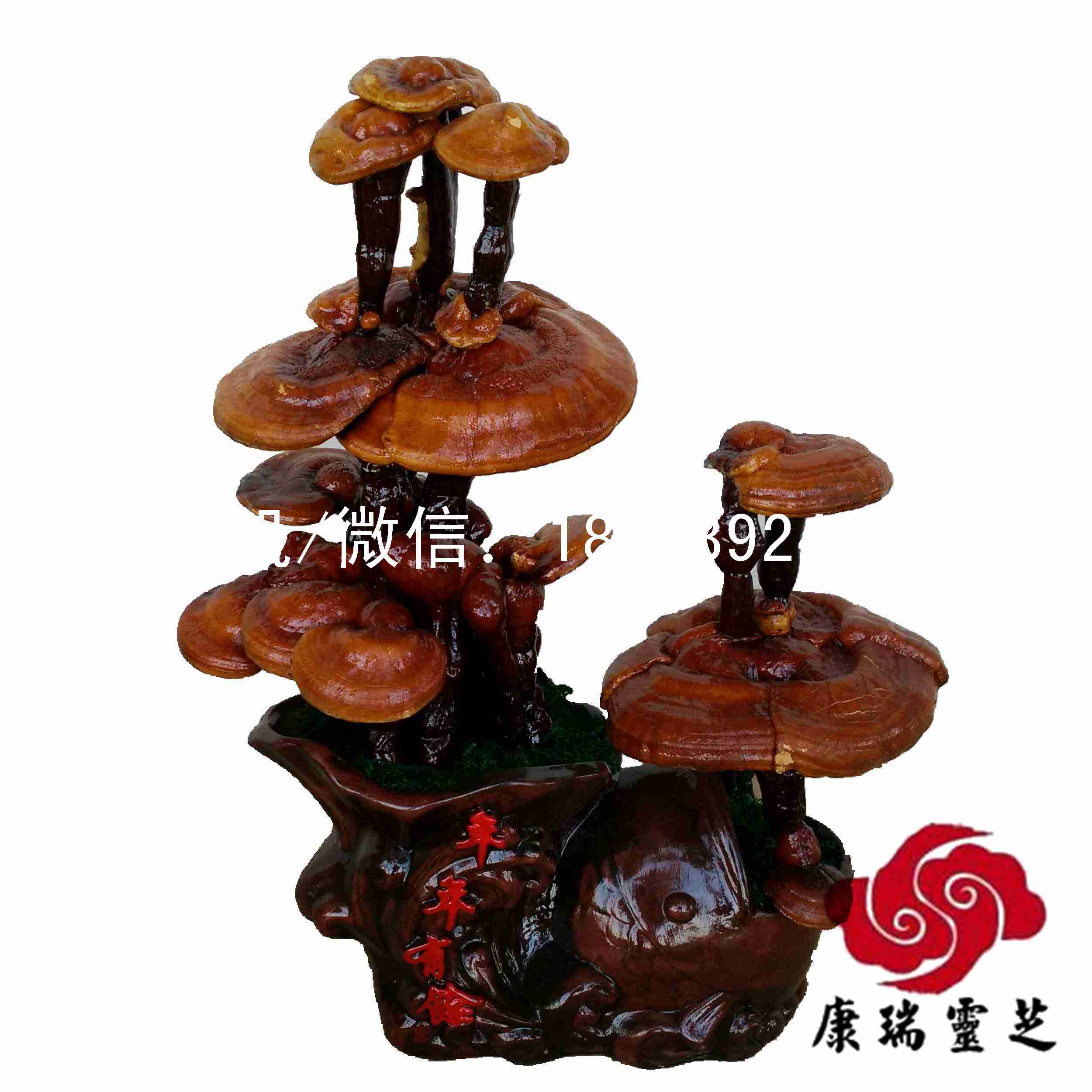 中小型紅靈芝盆景批發(fā)靈芝工藝品 冠縣靈芝盆景的廠家產(chǎn)地直銷 山東紅靈芝盆景批發(fā)