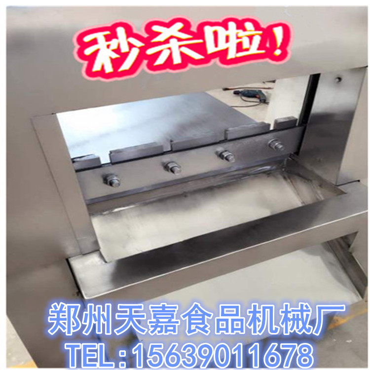 爆款 DQJ-120凍肉切片機(jī)天嘉制造