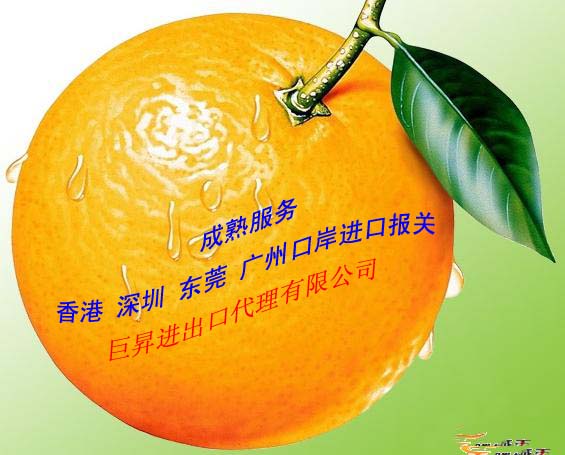 東莞代理報關(guān)清關(guān) 沙田進(jìn)出口代理報關(guān) 虎門進(jìn)出口代理報關(guān)