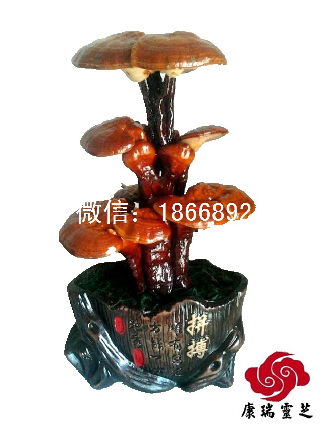 中小型紅靈芝盆景批發(fā)靈芝工藝品 冠縣靈芝盆景的廠家產(chǎn)地直銷 山東紅靈芝盆景批發(fā)
