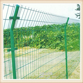 雙邊鐵絲網(wǎng)@綠色雙邊鐵絲網(wǎng)@雙邊鐵絲網(wǎng)現(xiàn)貨供應(yīng)