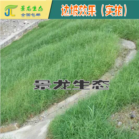 廣西邊坡綠化粘合劑|廣西粘合劑|廣西保水劑|南寧粘合劑