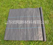 河北塑料編織土工布廠家 塑料編織土工布材質(zhì)領(lǐng)翔專業(yè)