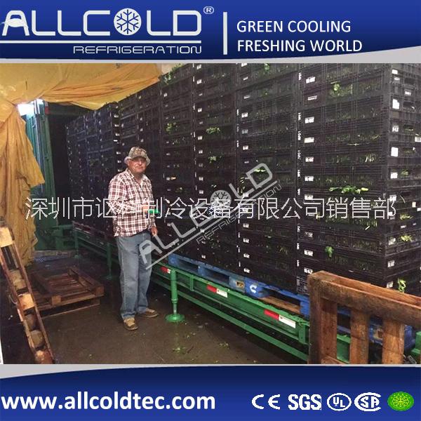 鮮花真空預(yù)冷機(jī)