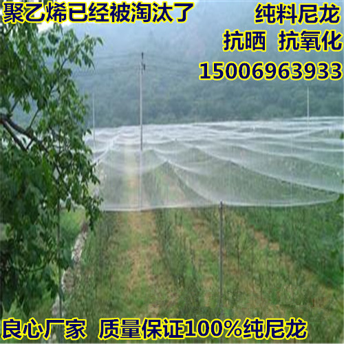 果樹園防鳥網(wǎng)廠家直銷/防鳥網(wǎng)應(yīng)該如何選擇/防鳥網(wǎng)類別
