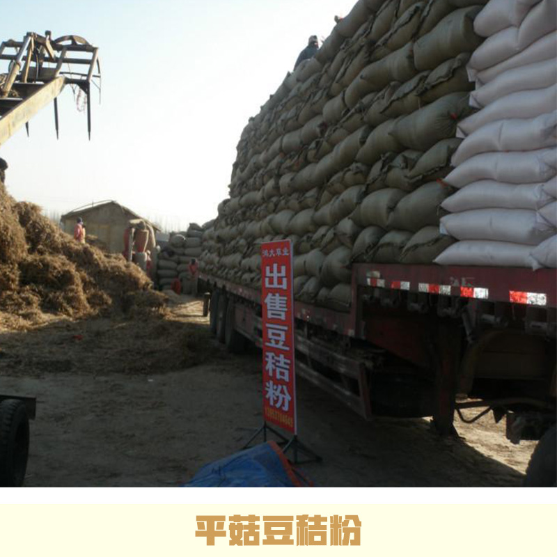 平菇豆秸粉廠家直銷 山東平菇粉價格 平菇粉 豆秸草粉 山東平菇粉廠家 平菇豆秸粉