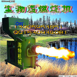 供應生物質(zhì)木屑顆粒燃燒機