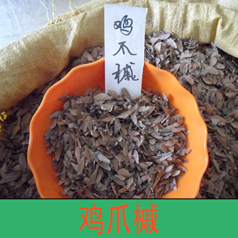 雞爪槭  雞爪槭樹 雞爪槭盆景 雞爪槭價格