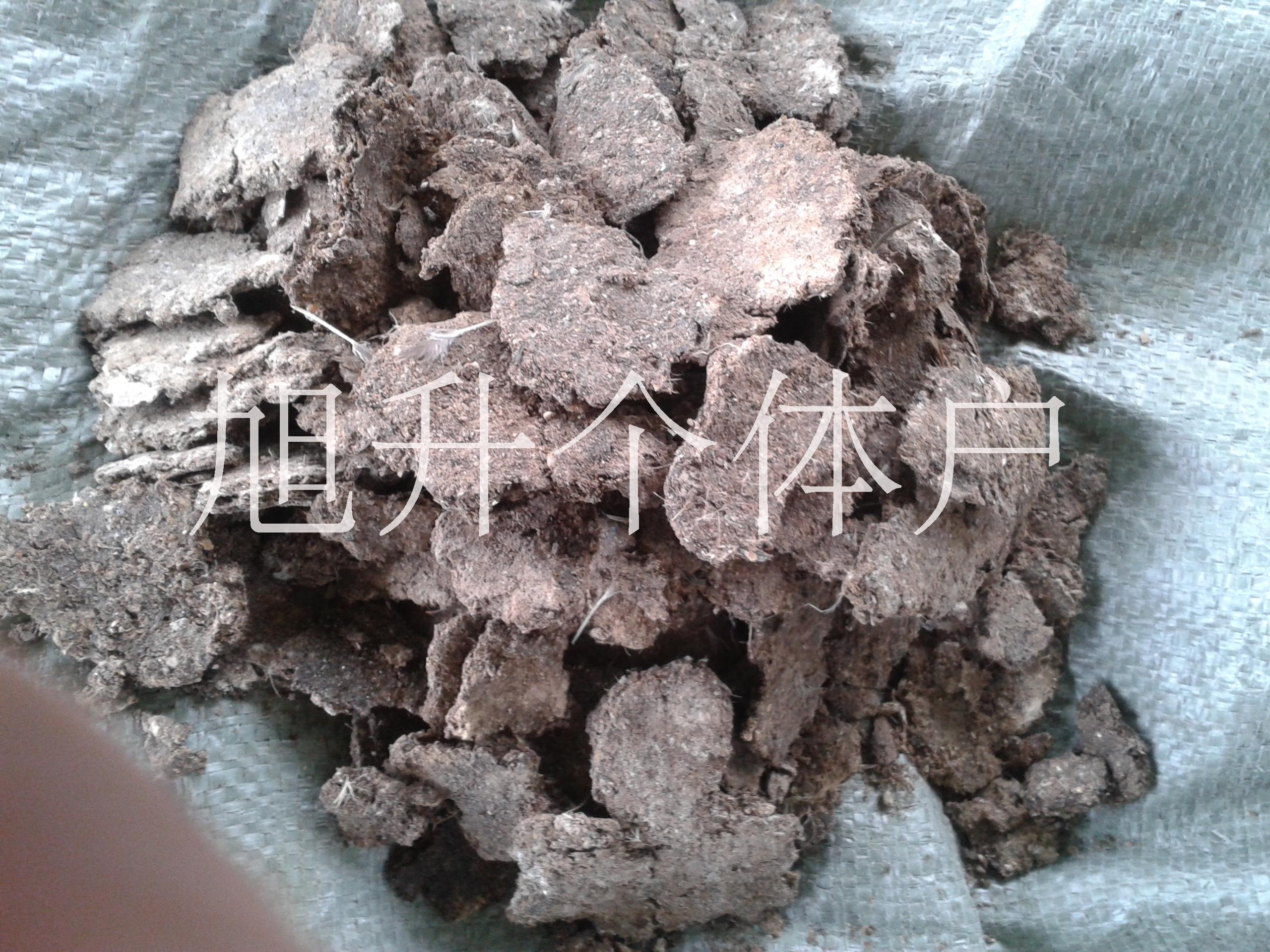 江西贛州上猶純干無雜質(zhì)雞糞有機肥養(yǎng)雞廠家直銷，供應(yīng)江西雞糞哪里買
