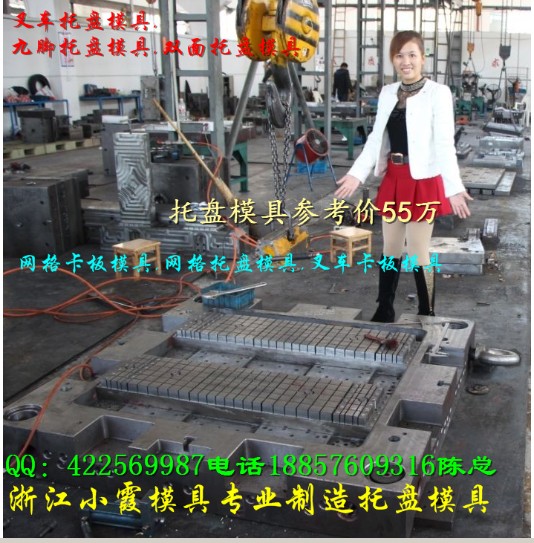 塑料模具生產(chǎn) 注塑叉車卡板模具 大型塑料倉(cāng)墊板模具 一米五塑料田子托盤模具廠