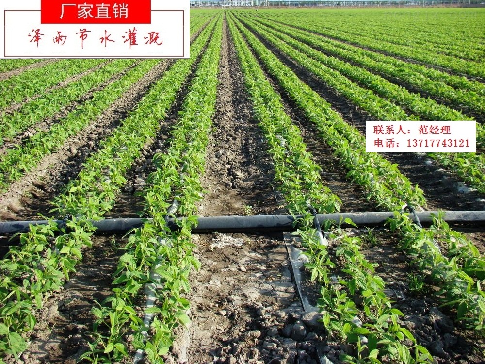 灌溉管材價格-滴灌管材規(guī)格-優(yōu)質(zhì)滴灌管