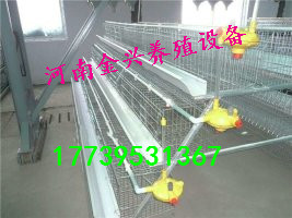 蛋雞籠肉雞籠育雛籠自動(dòng)化設(shè)備