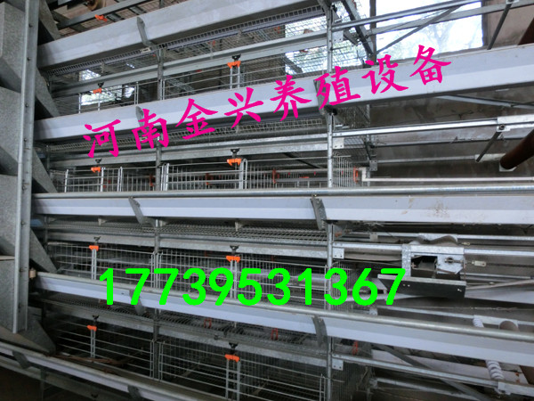 肉雞籠育雛籠撿蛋上料清糞風(fēng)機(jī)水簾 金興層疊式雞籠蛋雞籠肉雞籠育雛籠