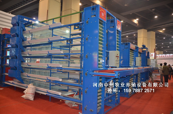 A型雞籠 H型養(yǎng)雞設(shè)備 蛋雞籠廠家 肉雞籠廠家