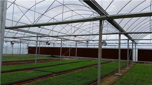 廠家直銷溫室大棚 連棟大棚骨架 連棟棚造價13920286607