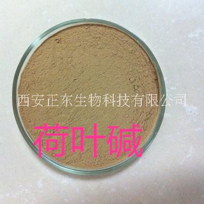 荷葉提取物 荷葉堿 荷葉提取物 2%荷葉堿