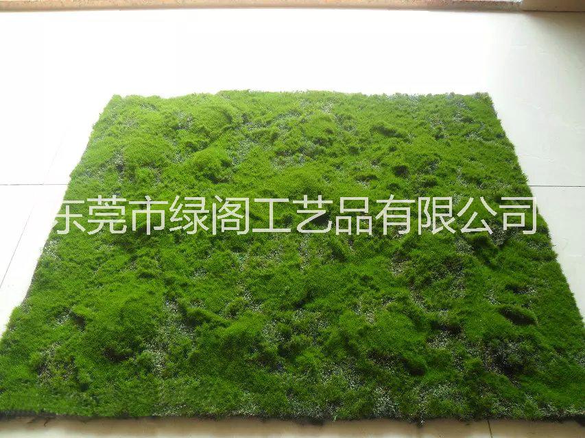 仿真青苔草皮 仿真綠植物墻青苔蘚草皮仿真草坪 綠色植物場(chǎng)景櫥窗展示假苔蘚