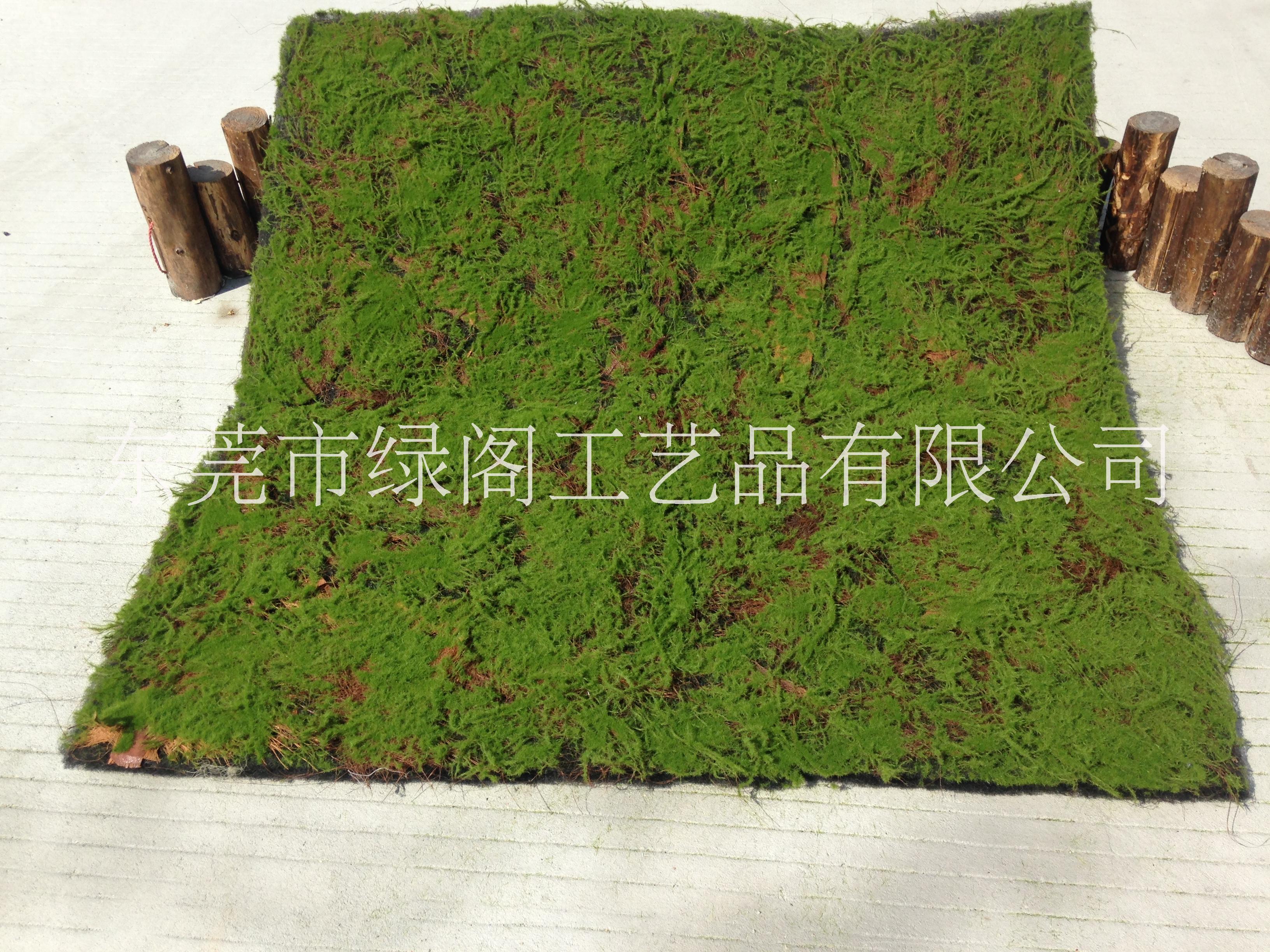 仿真青苔草皮 仿真青苔苔蘚石頭草皮草坪多肉植物微景觀DIY裝飾