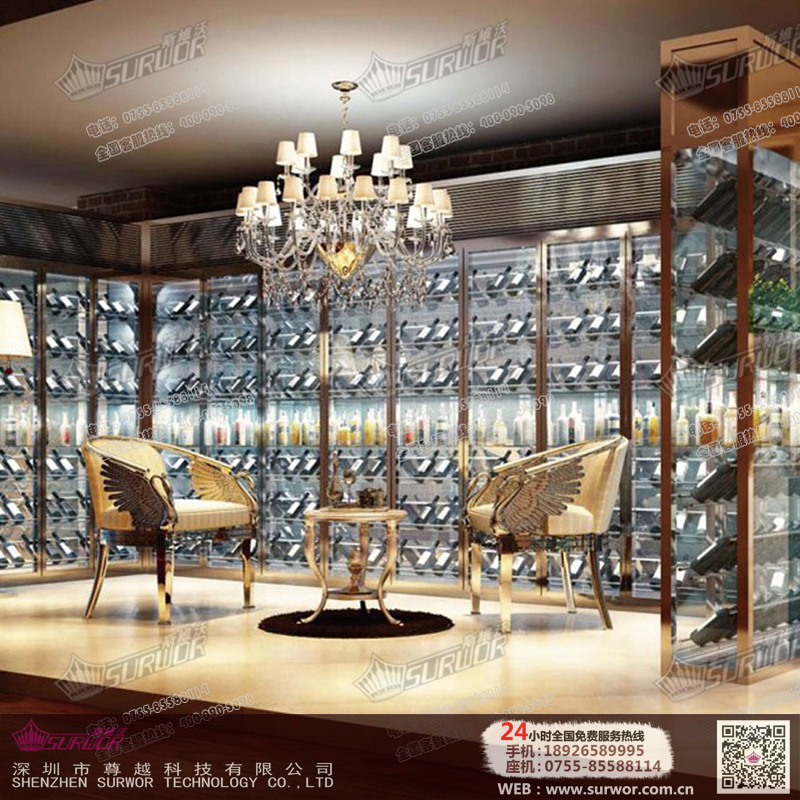 廠家專業(yè)定做恒溫不銹鋼酒柜 現(xiàn)代簡(jiǎn)約高端不銹鋼紅酒柜