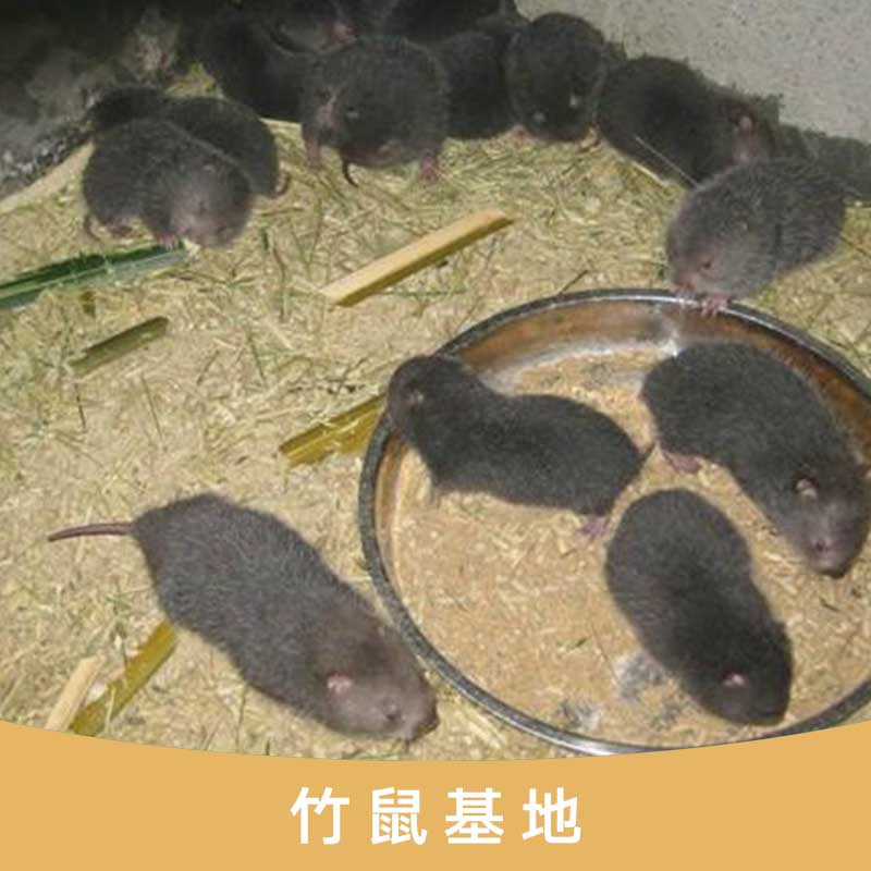 *基地 廣西桂林*養(yǎng)殖基地 桂林*廠家 *繁殖基地