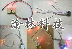 供應(yīng)定時(shí)芯片IC，單片機(jī)方案