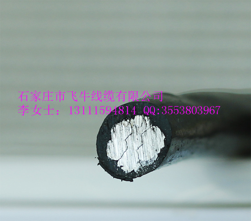 廠家直銷(xiāo)高低壓架空線/鋼芯鋁絞線/電力電纜JKLYJ-35 架空線  JKLYJ-35