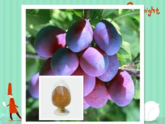 烏梅提取物40%檸檬酸