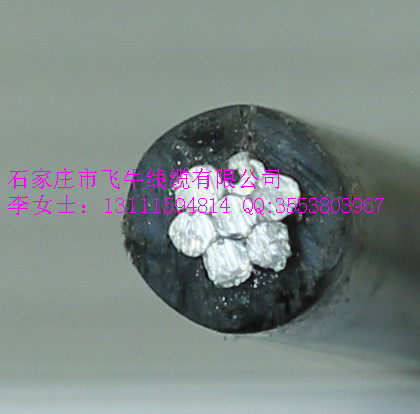 廠家直銷高低壓電力電纜/架空線/鋼芯鋁絞線/架空絕緣電纜