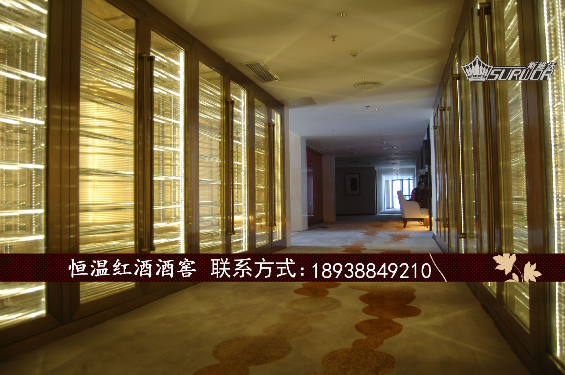 新款恒溫葡萄酒冷藏柜 嵌入式不銹鋼恒溫酒柜