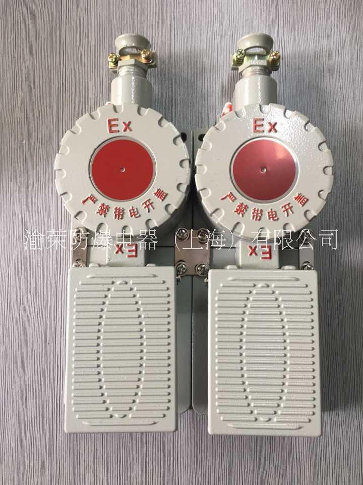 上海渝榮新款防爆腳踏開關(guān)特價