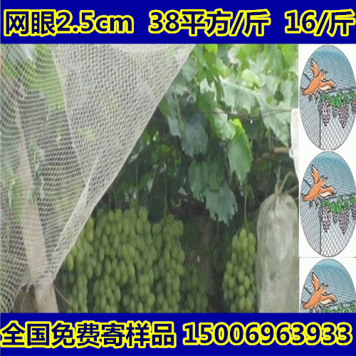 哪里魚塘有用防鳥網的？使用魚塘防鳥網的好處